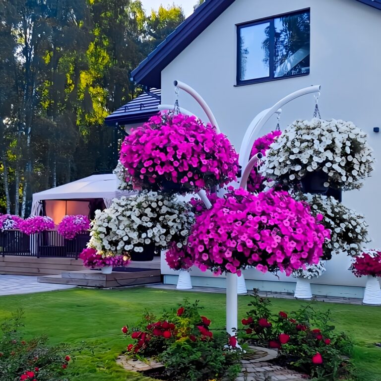 2025 05 20 15 39 28 993 cropped