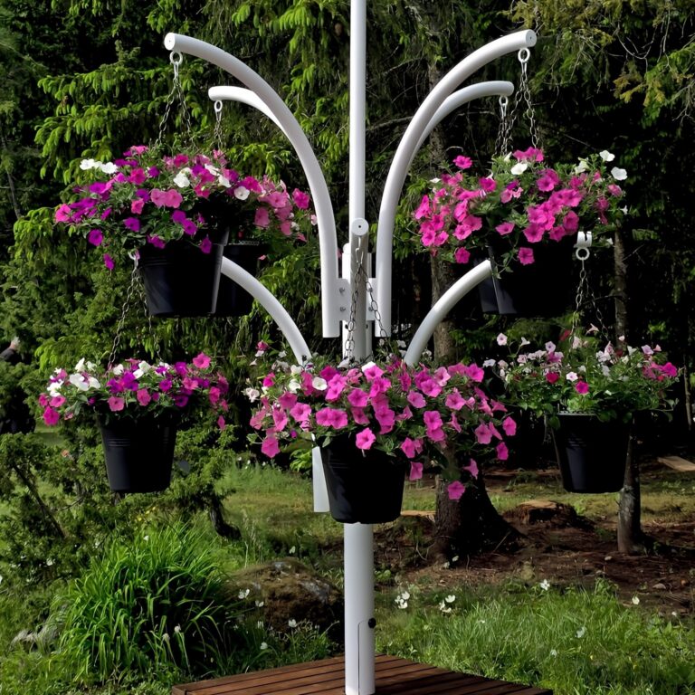 2025 06 05 17 17 30 899 cropped