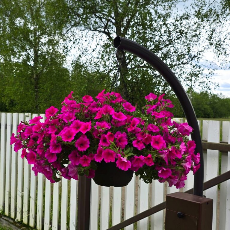 2025 06 08 13 57 17 976 cropped