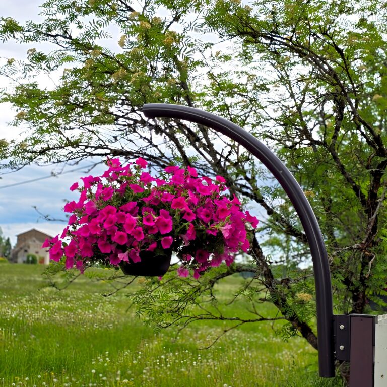 2025 06 08 14 43 52 261 cropped