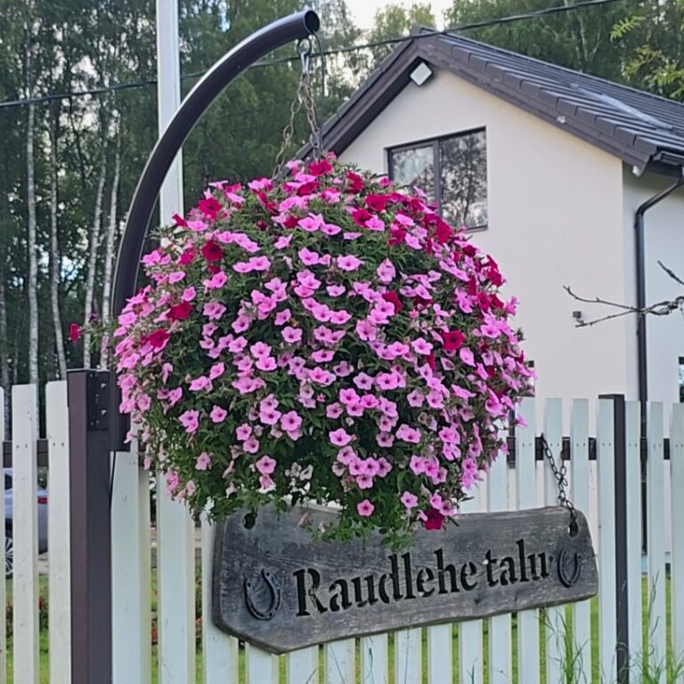 dji 20250818 170029 970