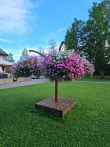 dji 20250818 170412 989