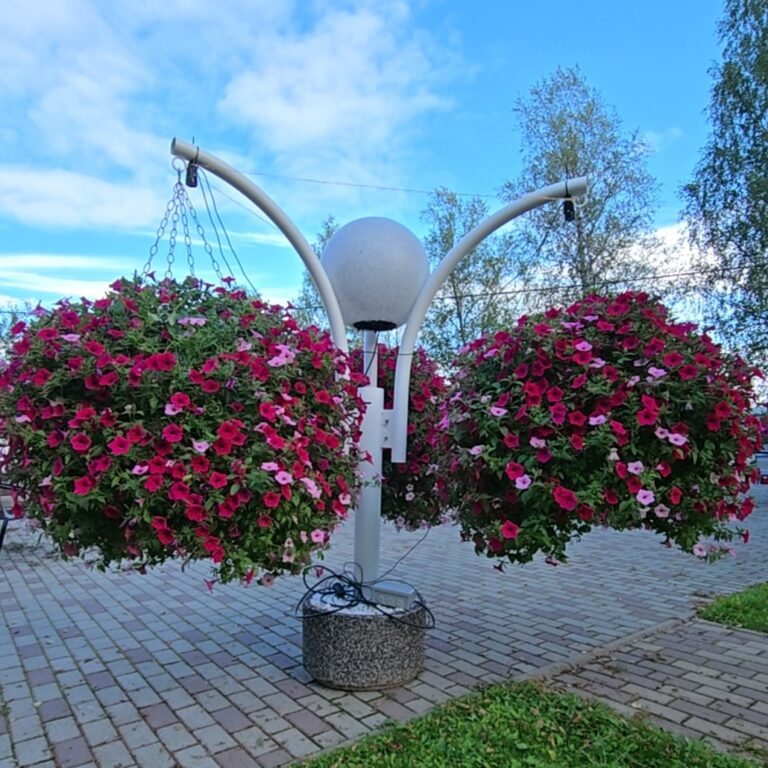 dji 20250818 170450 993