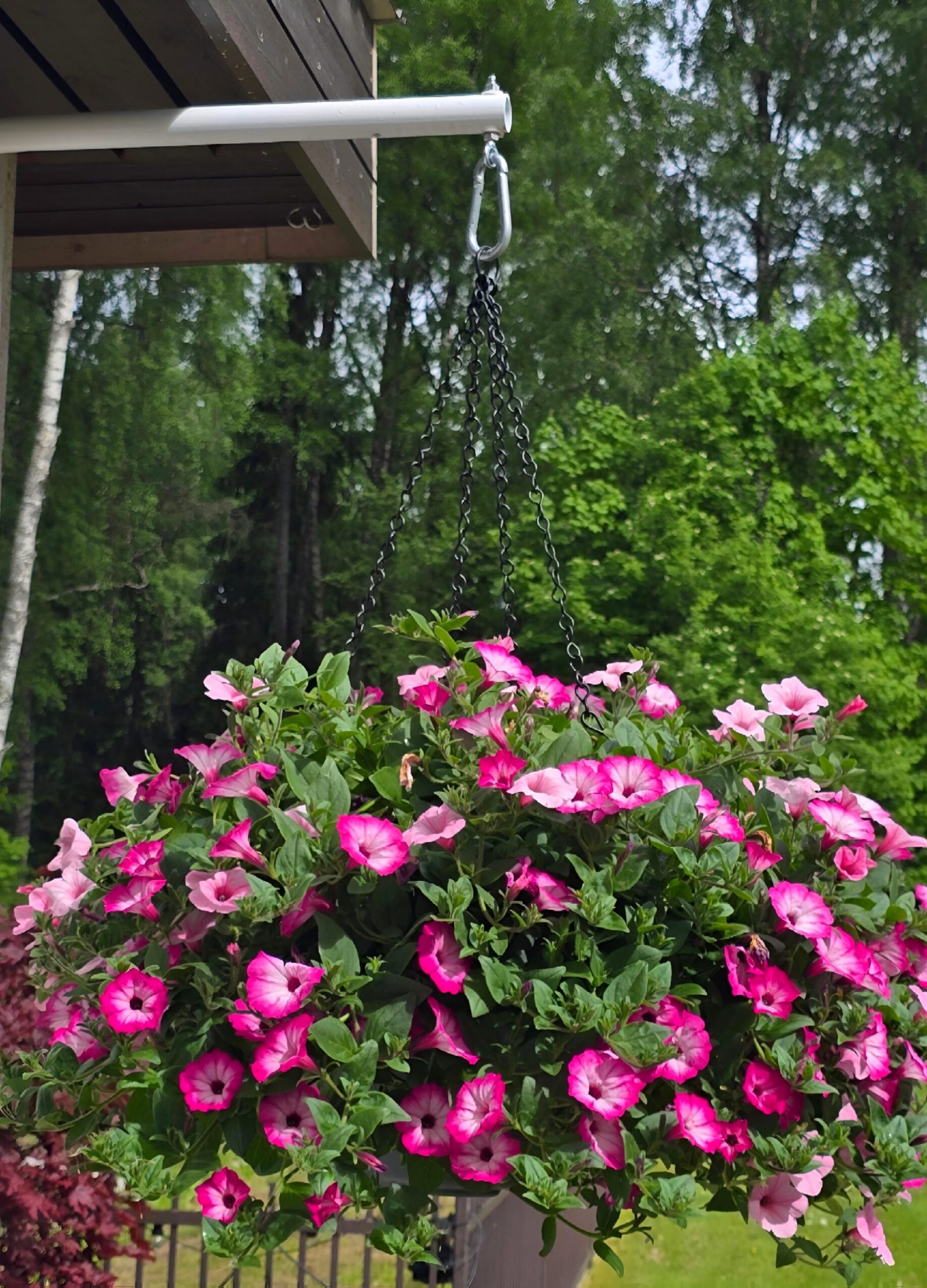 Polish_20260527_120557618